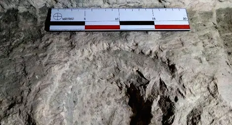 Русенският музей представя реликварийни камери в запазените олтарни маси на пещерните църкви по Ломовете Русенският музей представя реликварийни камери в запазените олтарни маси на пещерните църкви по Ломовете