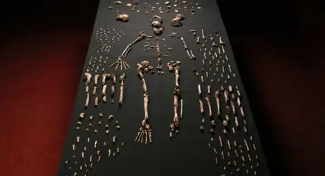 Научните открития на 2015 г., които разтърсиха човечеството