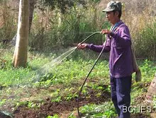 Градинарството удължава живота