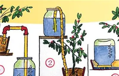 Как да поливаме цветята, когато ни няма