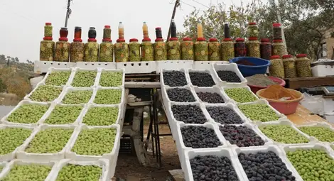 Смъртоносна болест по маслиновите дървета ще струва милиарди на Европа Смъртоносна болест по маслиновите дървета ще струва милиарди на Европа