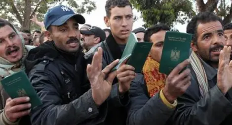 Сириец в съда: По-добре куче в Германия, отколкото човек в България