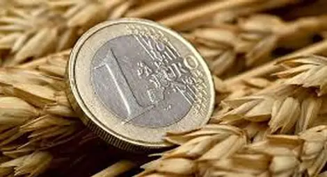 Малките общини за поредна година получават най-големите агросубсидии Малките общини за поредна година получават най-големите агросубсидии