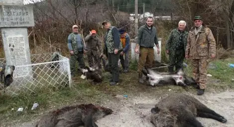 Ловци за Гинес: За два часа отстреляха 11 глигана Ловци за Гинес: За два часа отстреляха 11 глигана