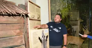 Интерактивно табло обяснява разликите между язовец и скункс