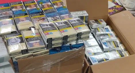 331 720 къса цигари задържаха служители от ТД Митница Русе в районите на Видин и Силистра