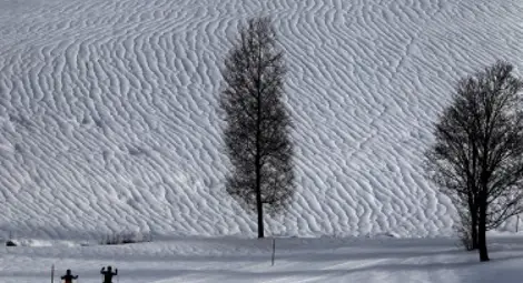 Жълт код за студове в 17 области в петък