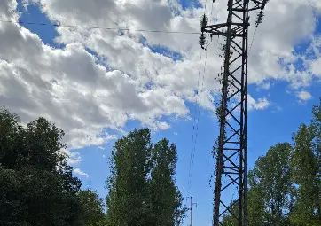 Продължават дейностите за маркиране на опасни дървета и почистване на просеки около електропроводите в Русенско преди зимния сезон
