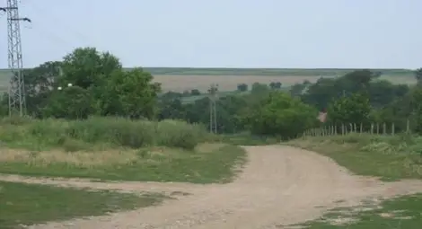 Брокерка измами брат и сестра с 60 000 лева