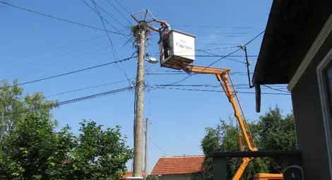 Доброволци спасиха  щъркелов дом в Ряхово