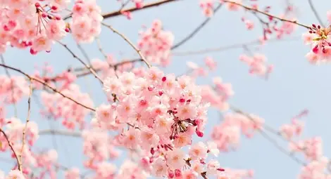 Вижте какво ще бъде времето през април