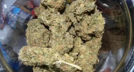 След акция в Русенско: Иззеха различни видове наркотици (снимки)