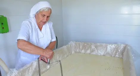 Мандра в Бъзън първа в областта прави сирене и кашкавал от собствено мляко