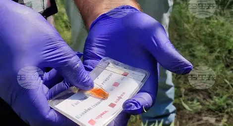 Снимка: БТА Снимка: БТА