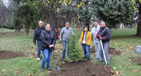 "М-Газ" обогати с големи кедри района около Мечката в Младежкия парк в Русе "М-Газ" обогати с големи кедри района около Мечката в Младежкия парк в Русе