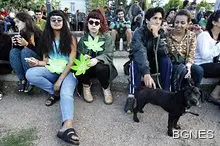 Употребяващите канабис са по-склонни към психоза