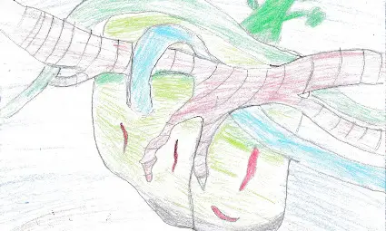 Две послания от русенската гимназия по дървообработване и вътрешна архитектура за знание и за зелено бъдеще Две послания от русенската гимназия по дървообработване и вътрешна архитектура за знание и за зелено бъдеще