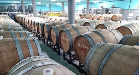 „Седем поколения“ - русенското вино, което покори Виена „Седем поколения“ - русенското вино, което покори Виена