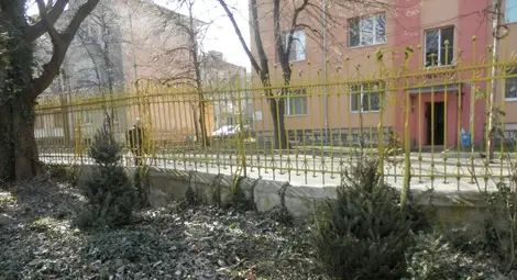 Деца от русенската детска градина &ldquo;Иглика&rdquo; садиха дървета в двора й