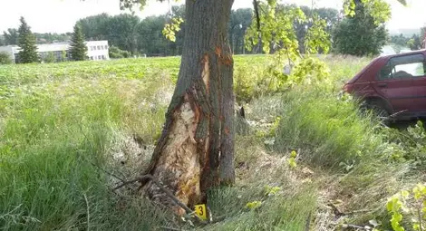 19-годишен шофьор прати спътника си в болницата