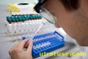 Двама души в Румъния починаха от свински грип