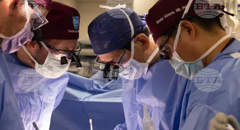 Снимка: БТА