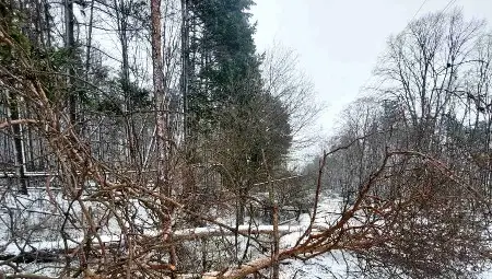 Временно затвориха за камиони пътя Русе &ndash; Бяла,  има проблеми с електрозахранваето в редица населени места в Русенско