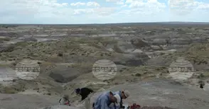 Череп на едно от първите растителноядни животни е намерен в Канада