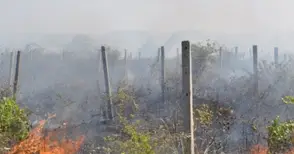 Собственици на имоти в Красен 2 пъти за ден запалиха сухи треви