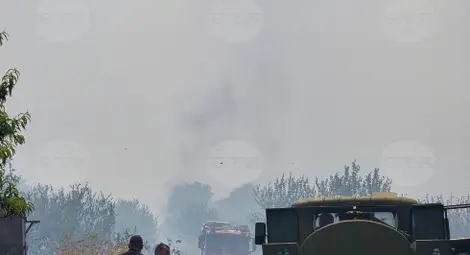 Снимка: БТА