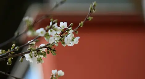 Дъжд и слънце се редуват за празничните дни