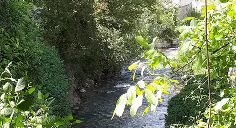 Издирват 7-годишно дете, отнесено от река Вит