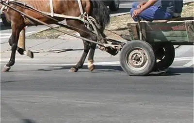 Полицаи простреляха каруцар, опитал да избегне проверка Полицаи простреляха каруцар, опитал да избегне проверка