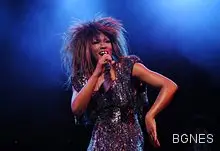 Тина Търнър се отказа от американско гражданство