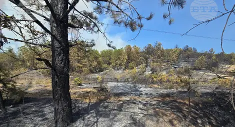 Снимка: БТА