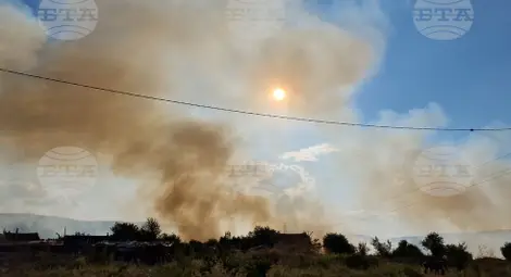 Снимка: БТА