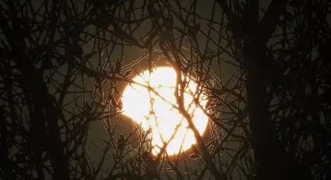 Ще наблюдаваме частично лунно затъмнение в нощта на 7 срещу 8 август