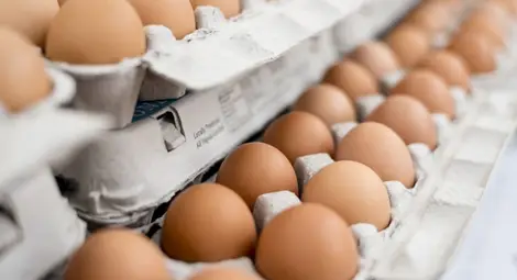 Над 200 хил. яйца с фипронил са открити в склад и магазини в Пловдив