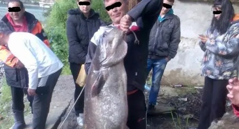 Бракониери ловят сомове в забранен период