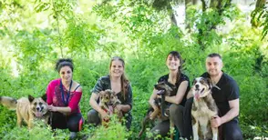 Фотосесия на кучета от приюта  търси домове за четирикраките