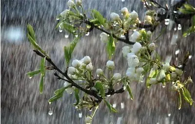 Дъжд и гръмотевици утре, температурите до 26&deg;