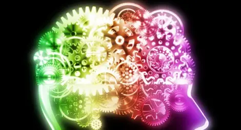 Предлагат IQ-тест на кандидат-депутатите