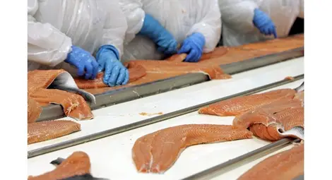 Няма да разрешат ГМО в България