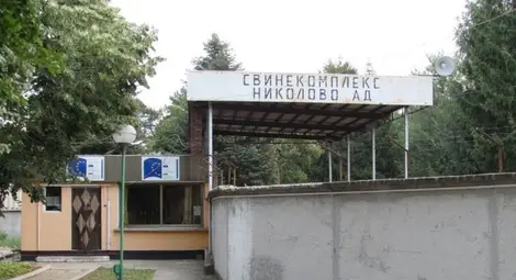 Първият поразен от африканската чума свинекомплекс стои празен от юли 2019-а