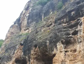 Кошовските братя