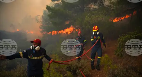 Снимка: БТА