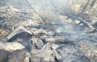 Пожарът в Рила е тръгнал от собственоръчно направено огнище