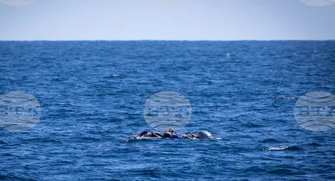 Снимка: БТА Снимка: БТА