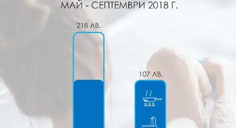 Домакинствата на газ спестиха 111 лева през летния сезон Домакинствата на газ спестиха 111 лева през летния сезон
