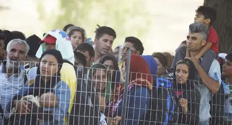 Германия: 30% от имигрантите лъжат, че са от Сирия